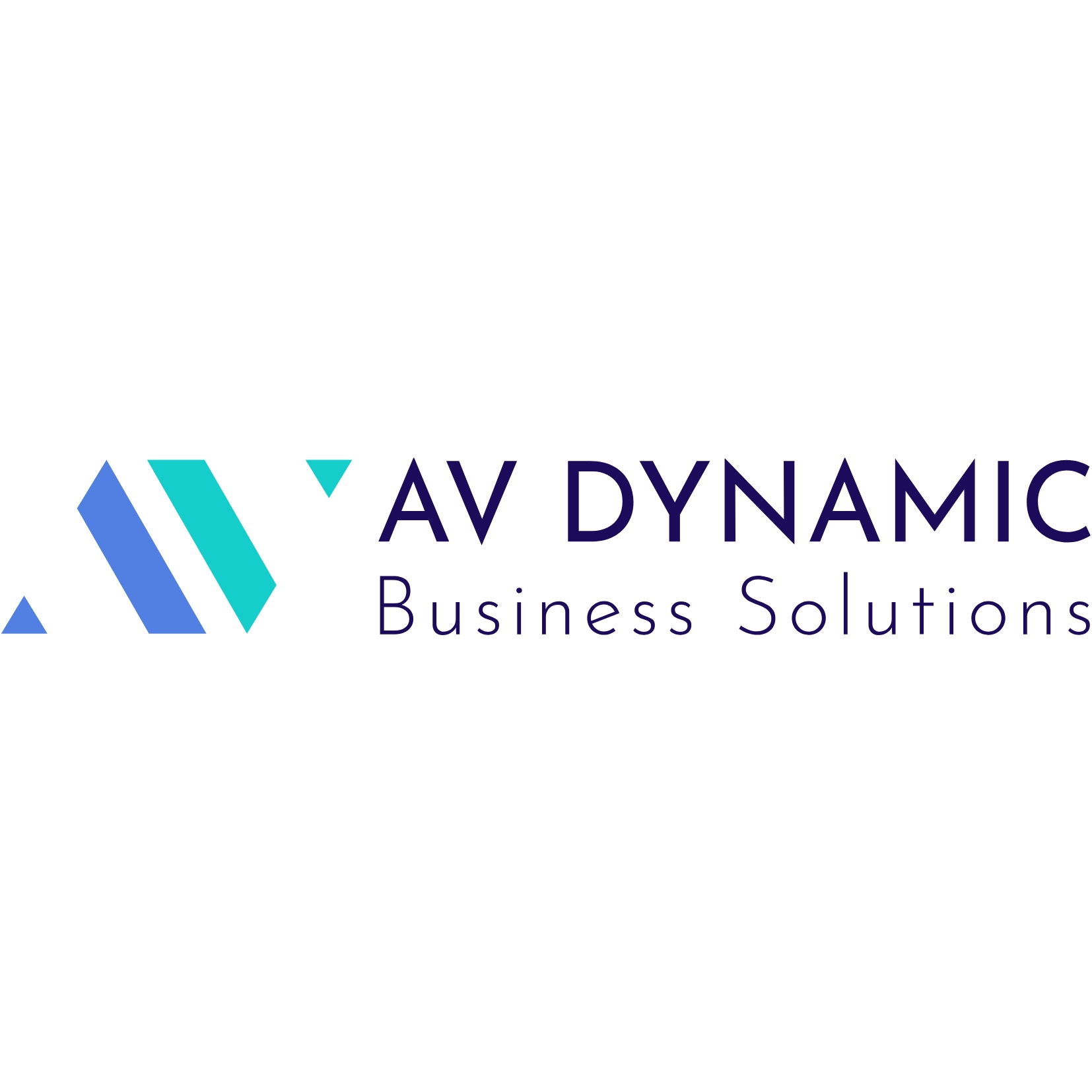 AV Dynamic - Live Experience India